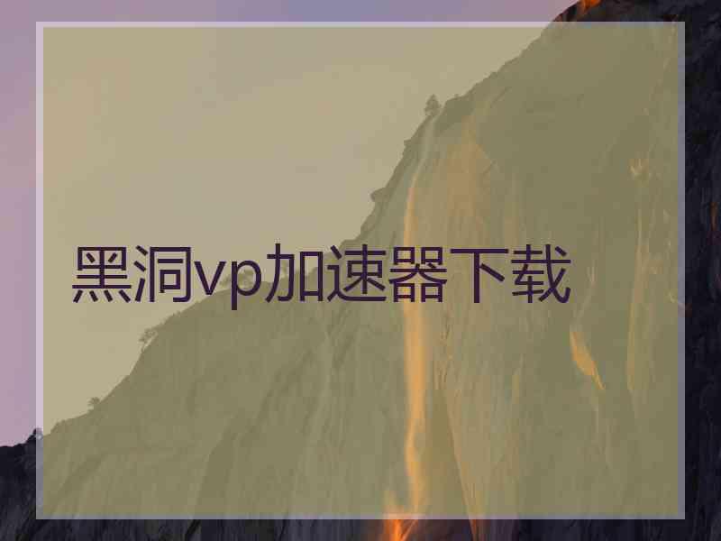 黑洞vp加速器下载