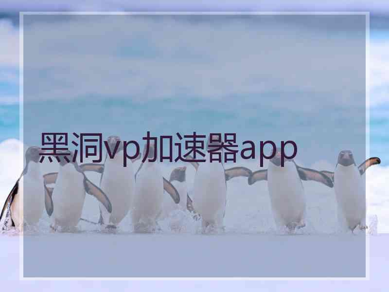 黑洞vp加速器app