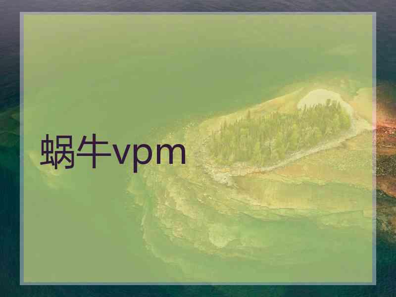 蜗牛vpm