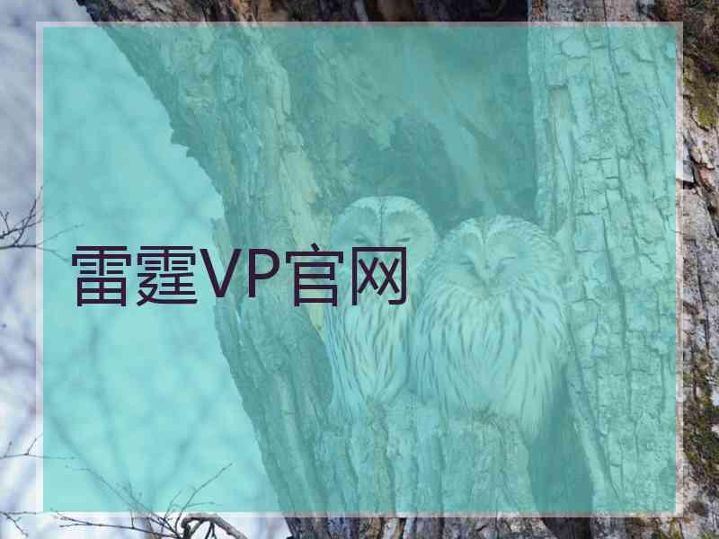 雷霆VP官网