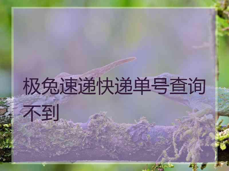 极兔速递快递单号查询不到