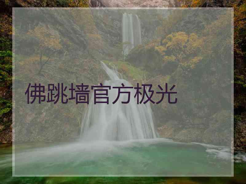 佛跳墙官方极光