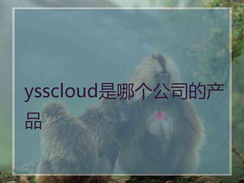 ysscloud是哪个公司的产品