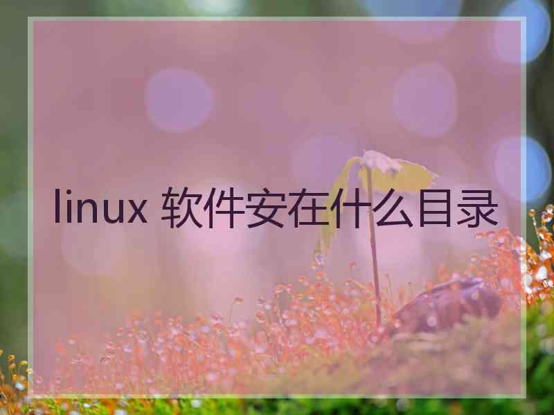 linux 软件安在什么目录