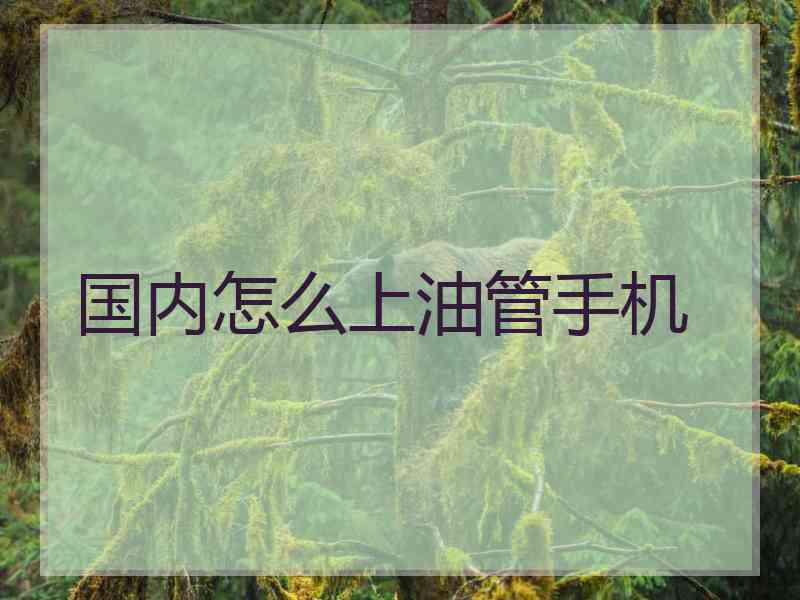 国内怎么上油管手机