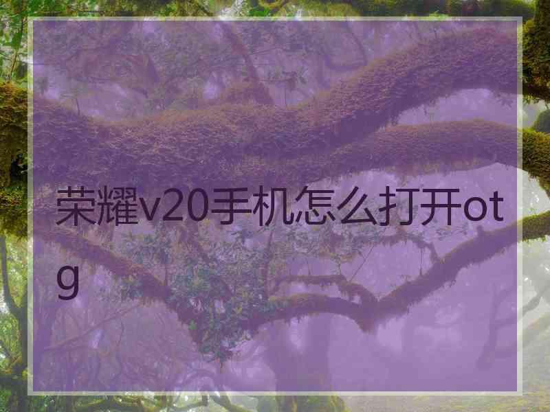 荣耀v20手机怎么打开otg