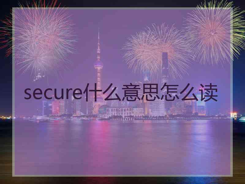 secure什么意思怎么读