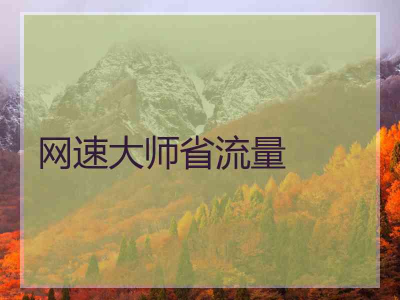 网速大师省流量