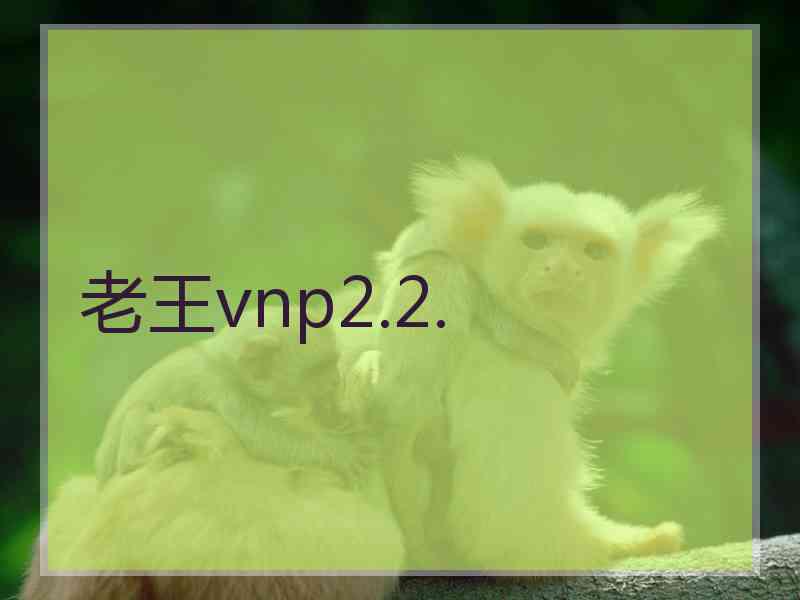 老王vnp2.2.