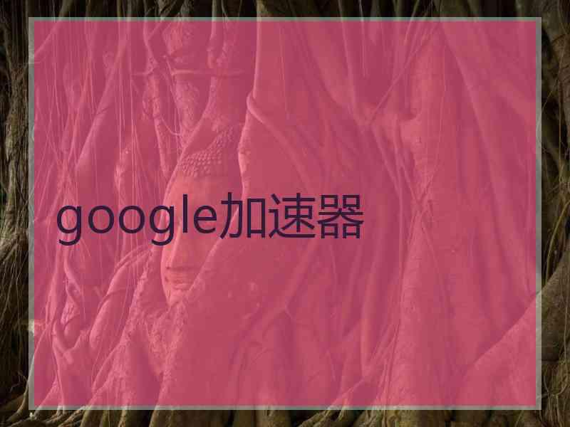 google加速器