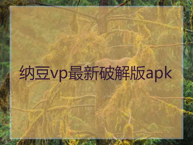 纳豆vp最新破解版apk