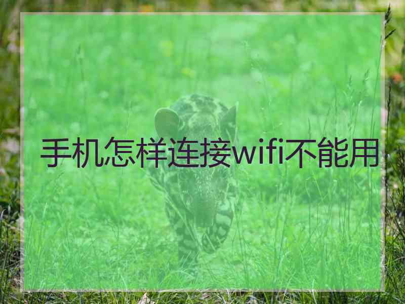 手机怎样连接wifi不能用