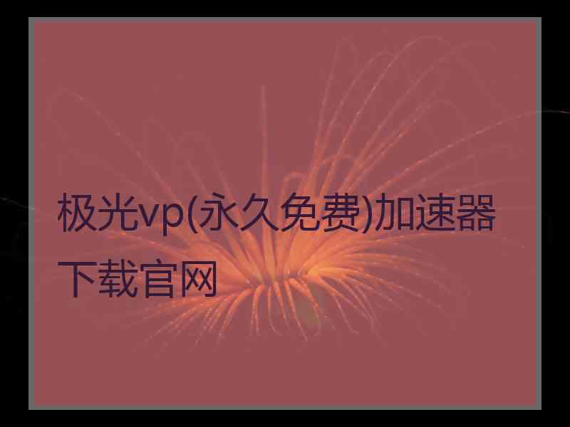 极光vp(永久免费)加速器下载官网