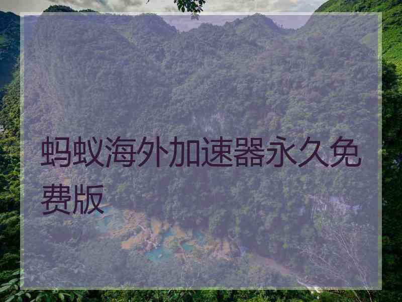 蚂蚁海外加速器永久免费版