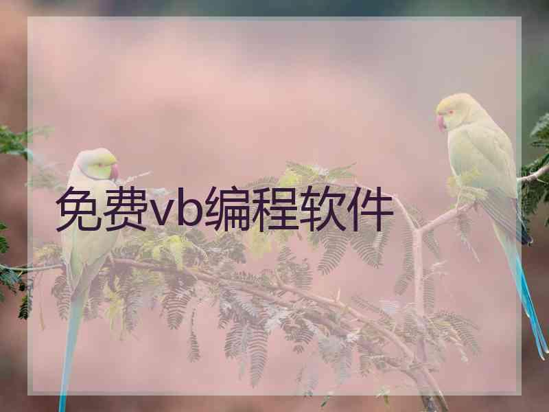 免费vb编程软件