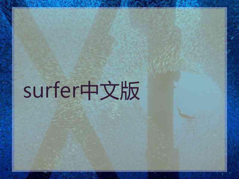 surfer中文版