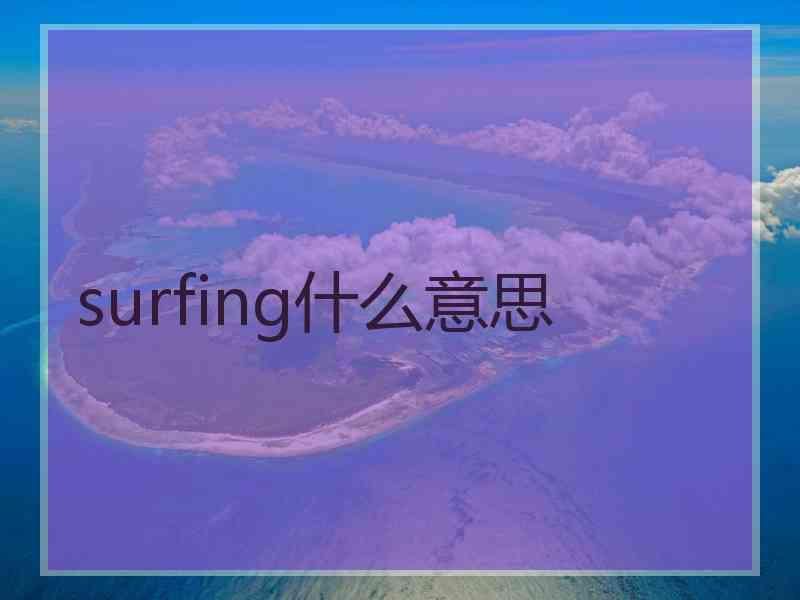 surfing什么意思