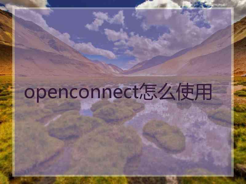 openconnect怎么使用