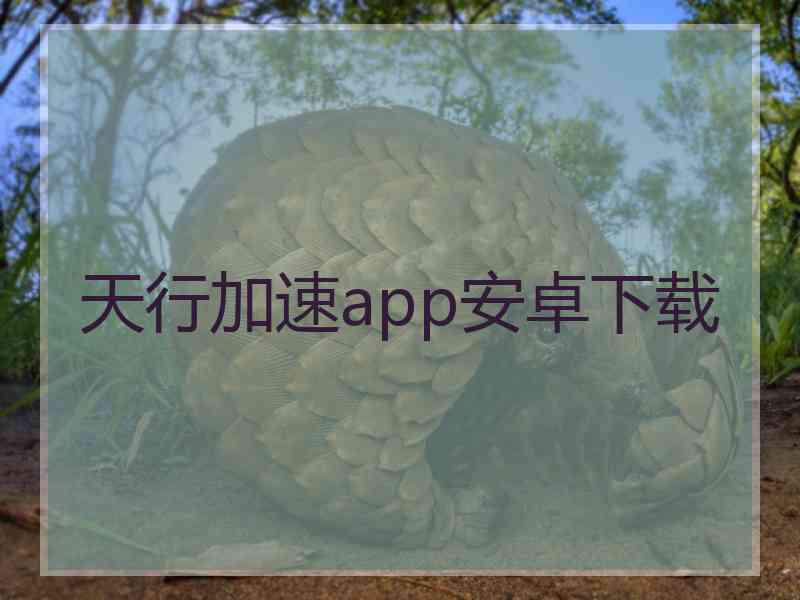 天行加速app安卓下载