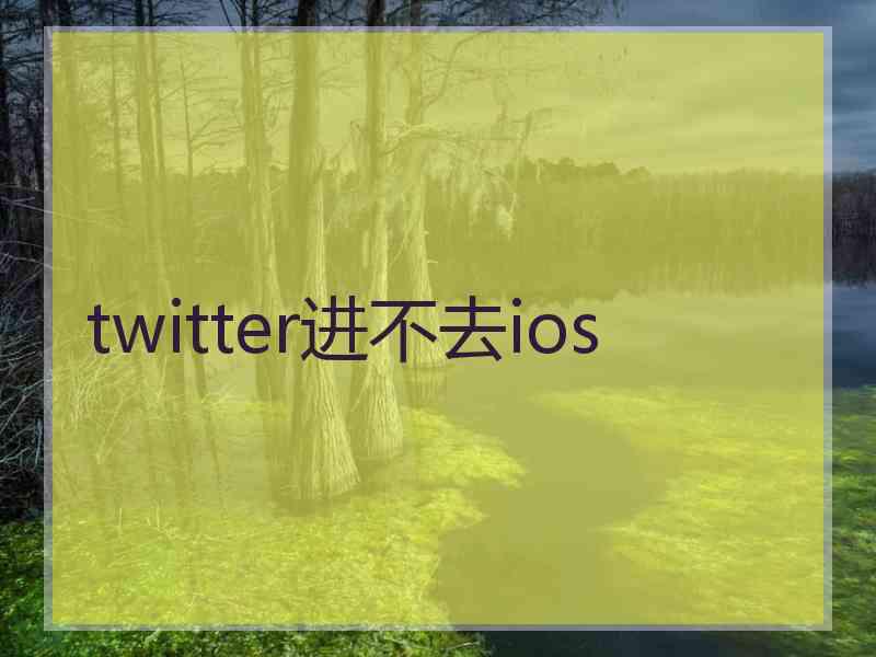 twitter进不去ios