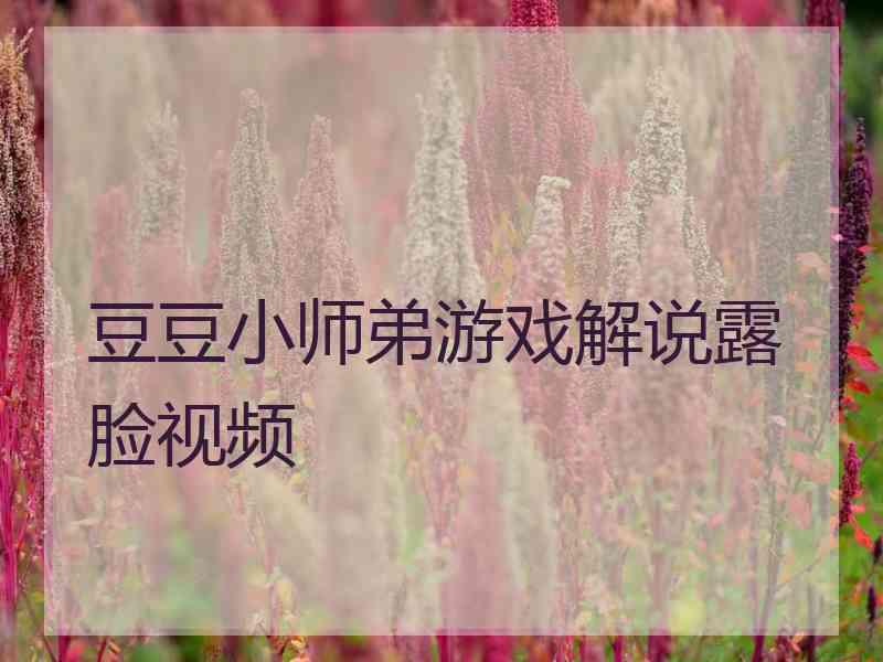 豆豆小师弟游戏解说露脸视频