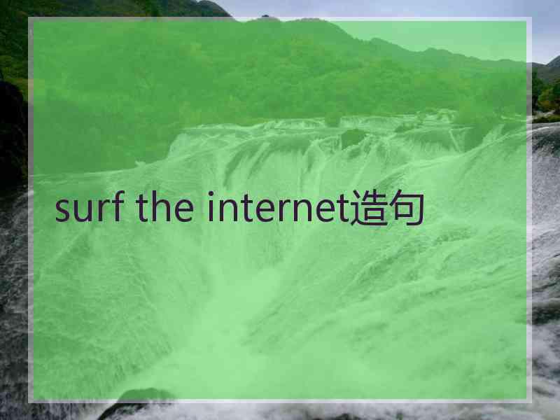 surf the internet造句