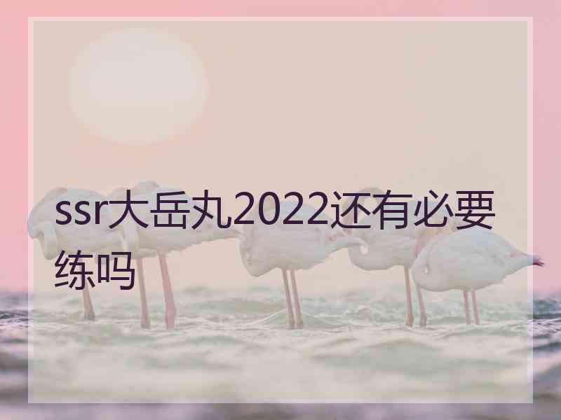 ssr大岳丸2022还有必要练吗