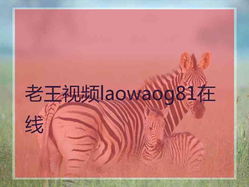 老王视频laowaog81在线