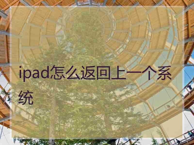 ipad怎么返回上一个系统