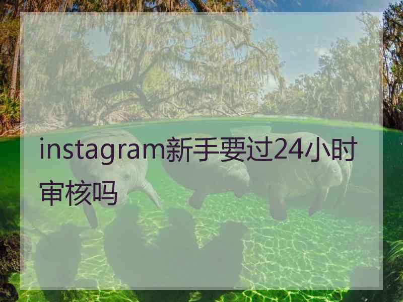 instagram新手要过24小时审核吗