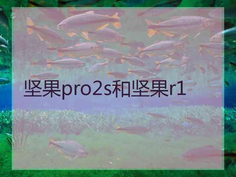 坚果pro2s和坚果r1