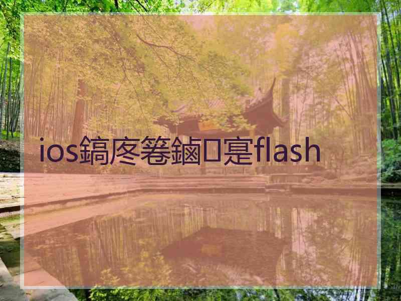 ios鎬庝箞鏀寔flash