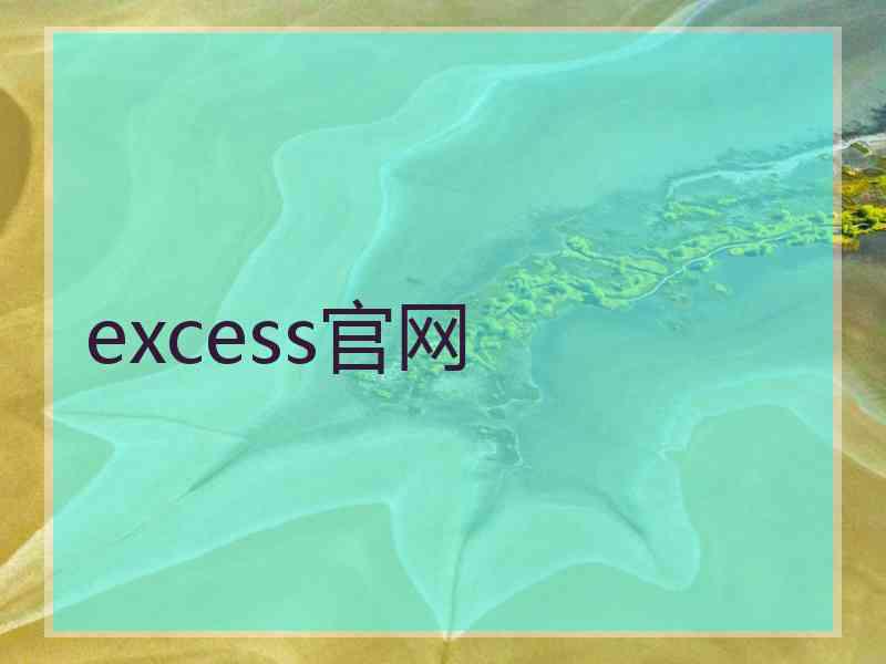 excess官网