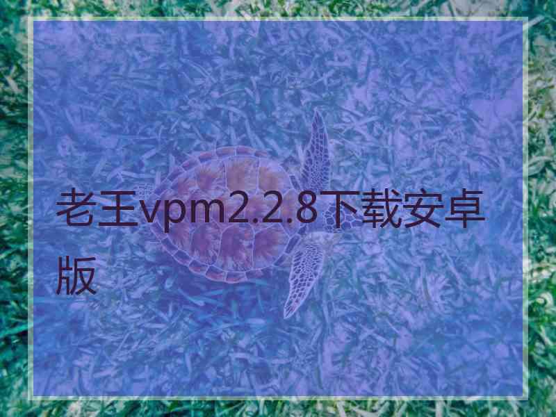 老王vpm2.2.8下载安卓版