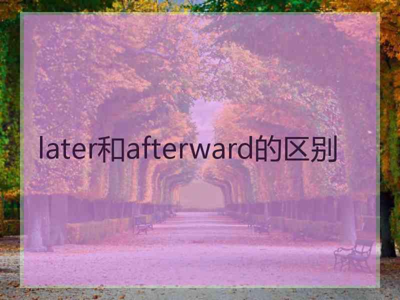 later和afterward的区别