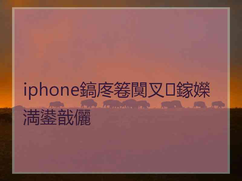 iphone鎬庝箞闃叉鎵嬫満鍙戠儷