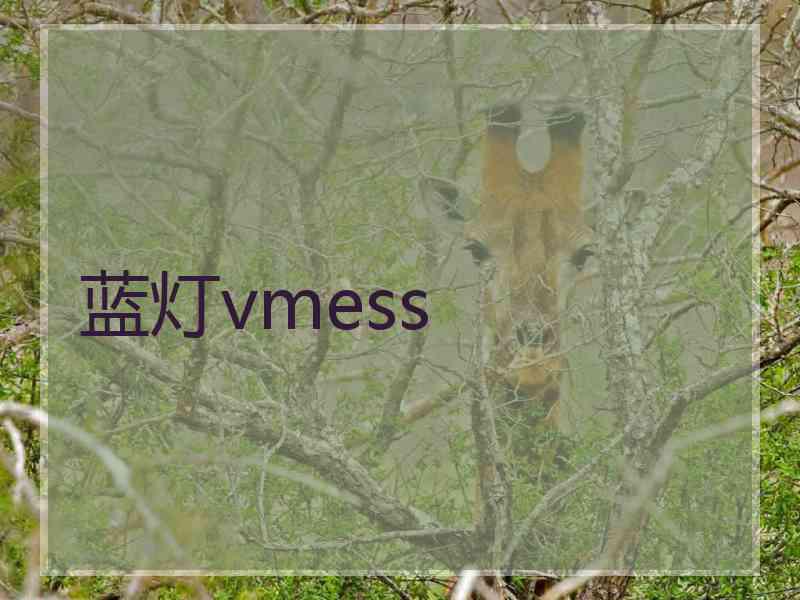 蓝灯vmess