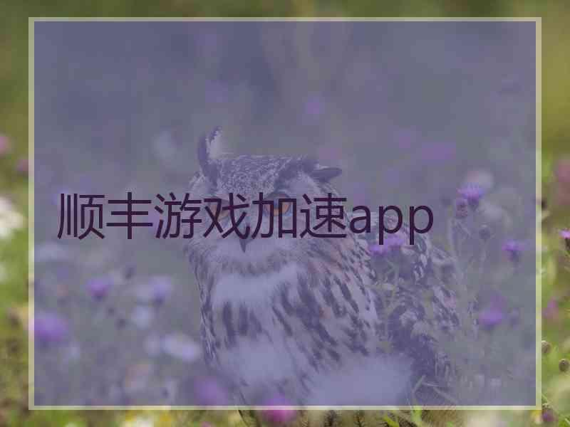 顺丰游戏加速app