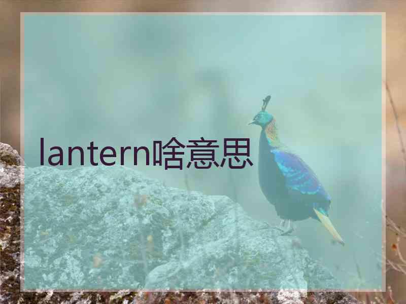 lantern啥意思