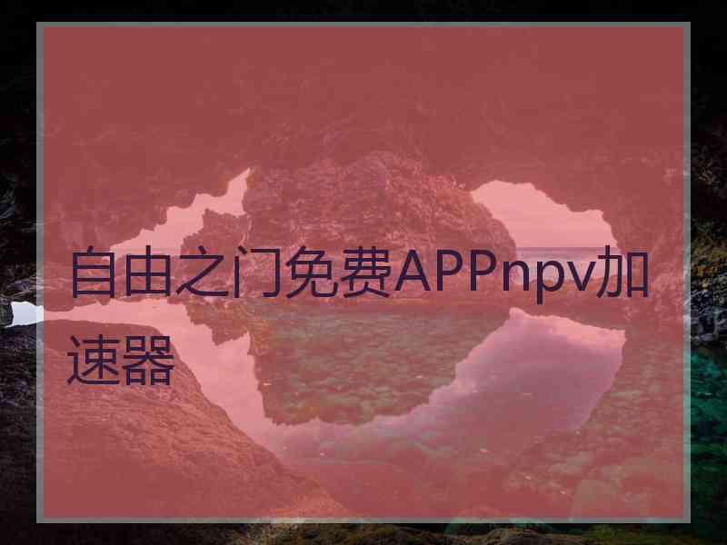 自由之门免费APPnpv加速器