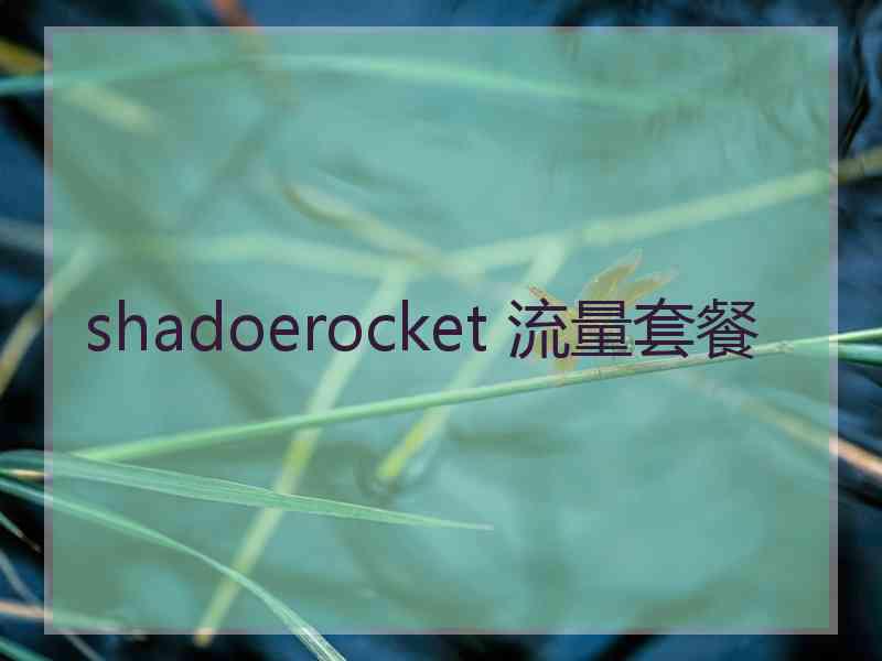 shadoerocket 流量套餐