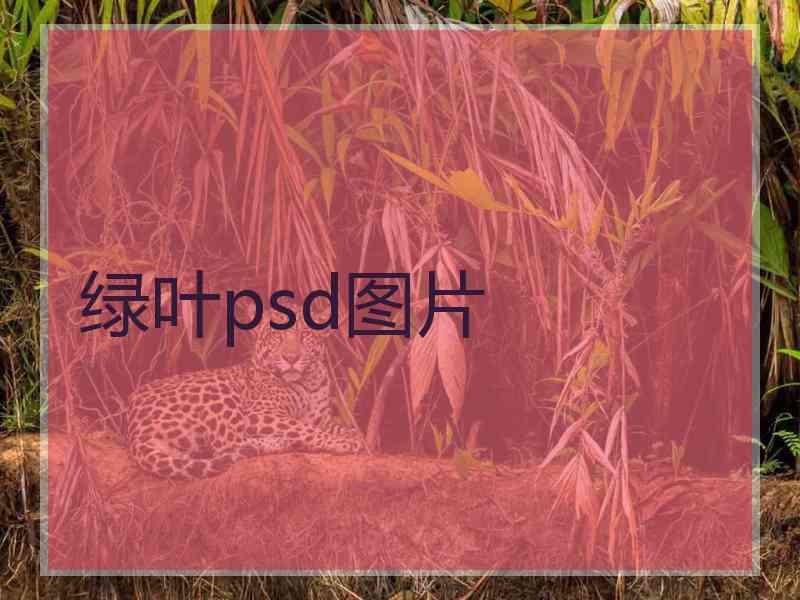 绿叶psd图片