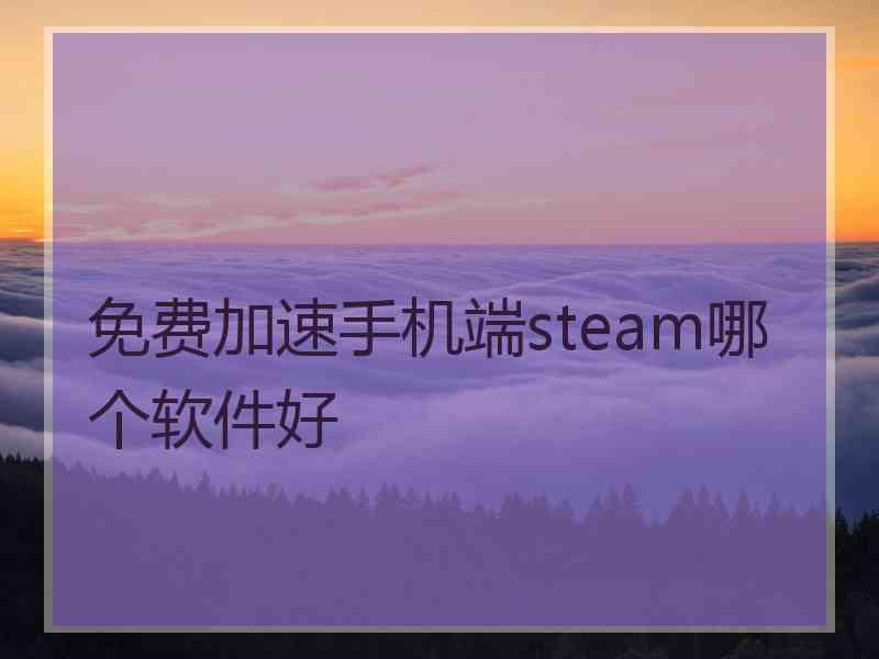 免费加速手机端steam哪个软件好