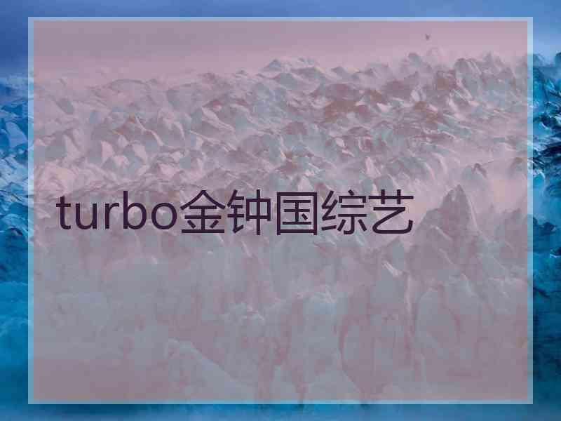 turbo金钟国综艺