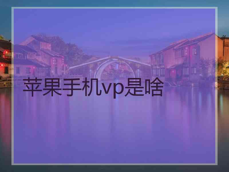 苹果手机vp是啥