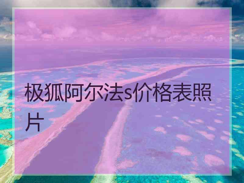 极狐阿尔法s价格表照片