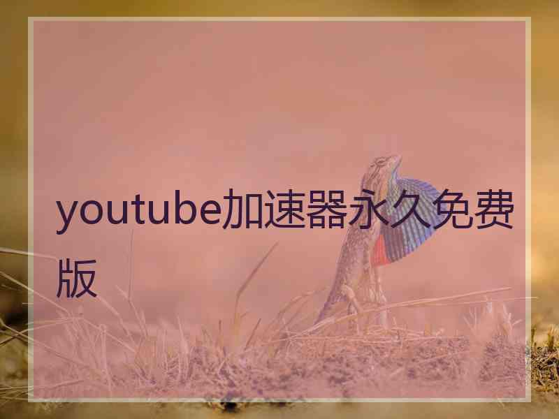 youtube加速器永久免费版