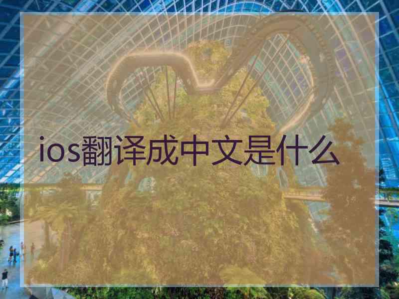 ios翻译成中文是什么