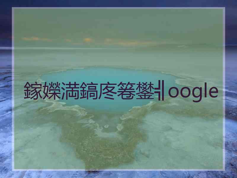 鎵嬫満鎬庝箞鐢╣oogle