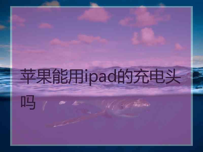 苹果能用ipad的充电头吗